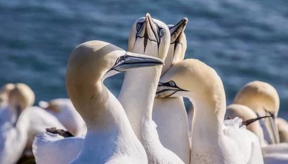 开云体育vip-英格兰奥运回顾：一步一脚印走向奖牌，英国奥运会英格兰世界杯